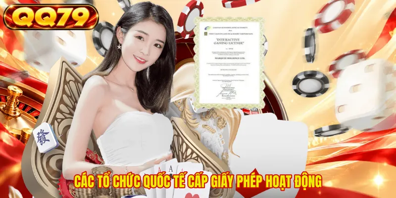 Các tổ chức quốc tế cấp giấy phép hoạt động 