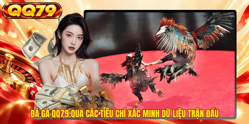 Đá gà QQ79 qua các tiêu chí xác minh dữ liệu trận đấu 