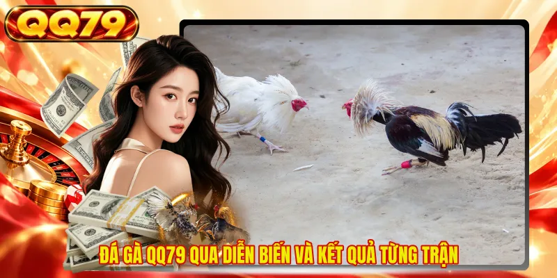 Đá gà QQ79 qua diễn biến và kết quả từng trận 